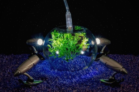 cultivating food on other planet