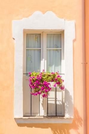 Close-up of a vintage balcony with closed door and violet decorative flowers on the railing, in a sunny dayの写真素材