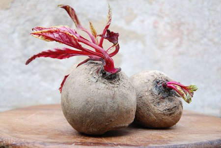 Red turnip couple on wood