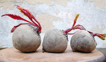 Red turnip group on wood