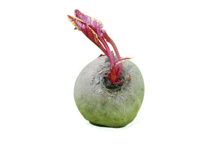 Red turnip on white background