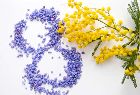 A mimosa s twig with violet sand for 8th marchの写真素材