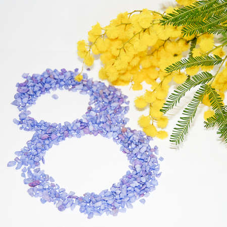 A mimosa s twig with violet sand for 8th march