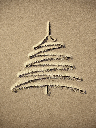 images christmas tree in the sand beach coastline closeupの写真素材