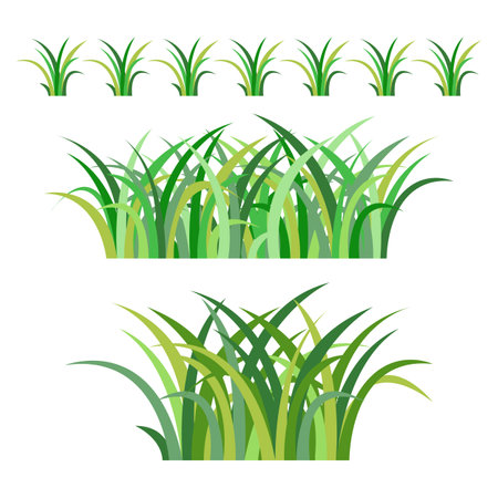 set of colorful green grass object on white background, vector illustrationのイラスト素材