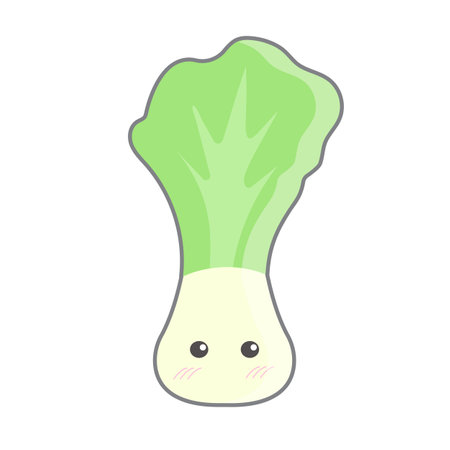 chinese cabbage cartoon object on white background, vector illustrationのイラスト素材