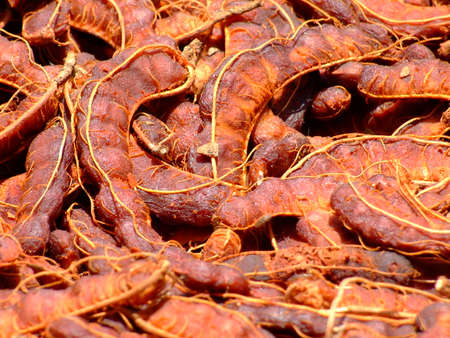 Tamarind Brown avant-garde satisfiedの写真素材