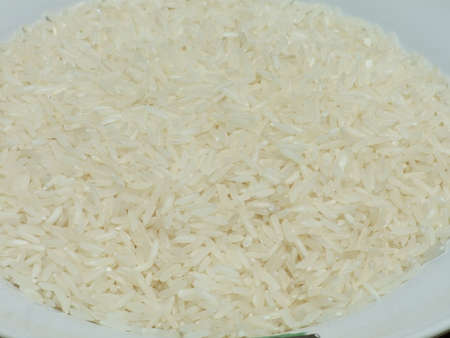 The White Rice from Farmer of Thailandの写真素材