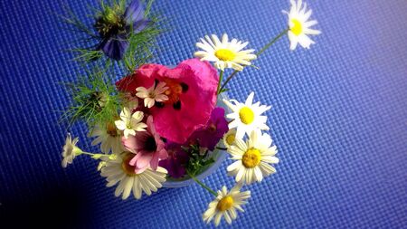 View from top of vase with colorful Spring flowersの素材