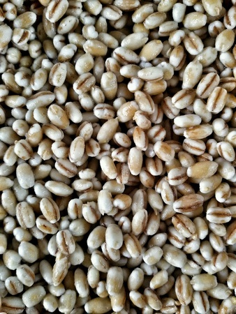 Close view of soaked pearl barleyの素材