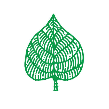 Leaf Drawing Vintage Line Artのイラスト素材