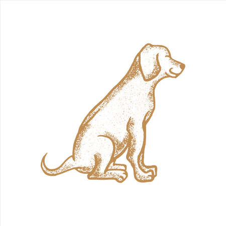 Dog Vintage Drawing Golden Retrieverのイラスト素材