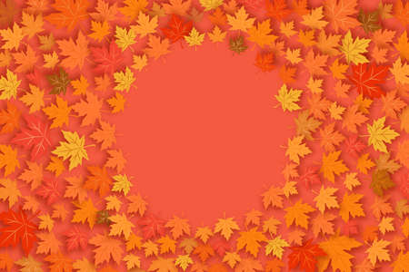 Autumn concept. Dry maple leaves lie on a red background. Flat lay, copy space. Place for text....