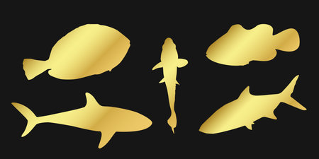 Set golden silhouette clownfish, sardine, goldfish and surgeonfish sign icon on black background. Gold clipart illustration.のイラスト素材