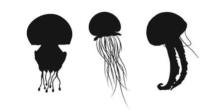 Set black jellyfish, medusa, sea jelly or nettle-fish sign icon on white background. vector illustration.のイラスト素材