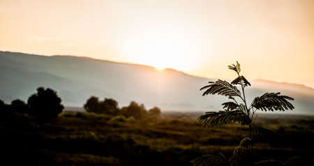 Evening mountain with the beauty sunsetの写真素材