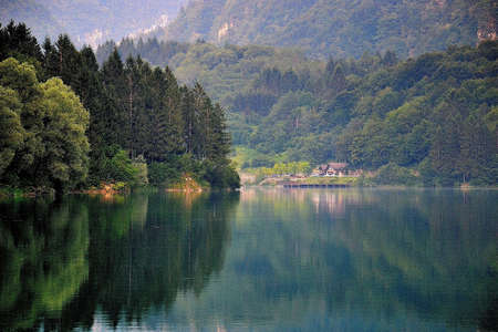 At the lakeの写真素材