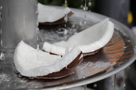 coconutの写真素材