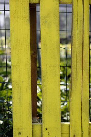 yellow fenceの写真素材