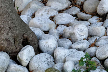 river stonesの写真素材