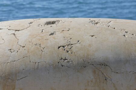 Rocks on the sea
