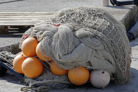 fish nets