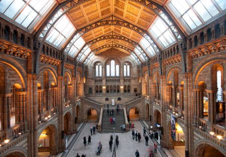 LONDON - JANUARY 9 2014 -  The Central Hall of the Natural History Museum, opened in 1881, looking towards the entrance, shows details of the architecture such as the terracotta decoration and iron arches.のeditorial素材