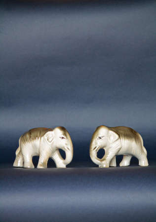 Each Other Facing Elephantsの写真素材