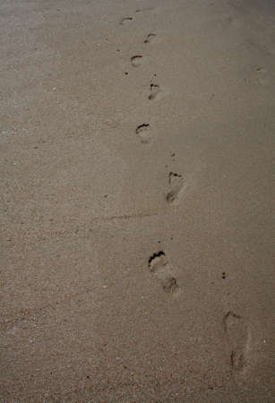 Footprints on the wet sand