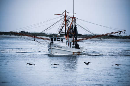 Shrimp Boat
