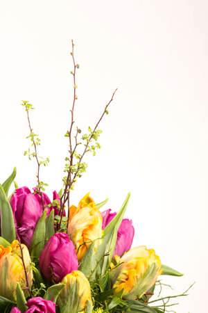 Colorful bouquet of tulipsの写真素材