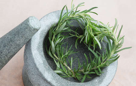 Heart of heartsの写真素材