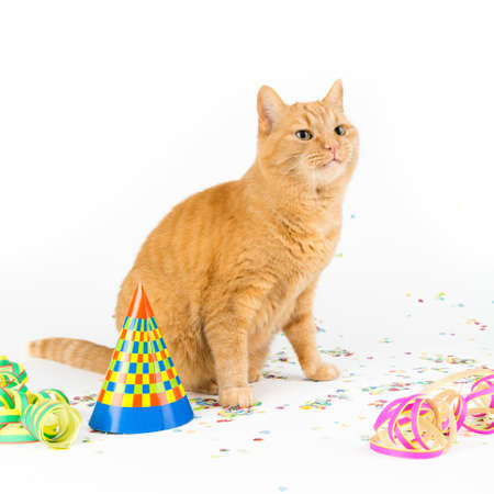 happy birthdayの写真素材