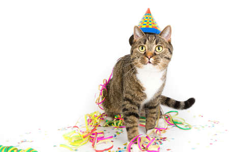 party with me?の写真素材