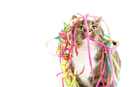 party timeの写真素材