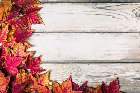 background and frame wood and leavesの写真素材