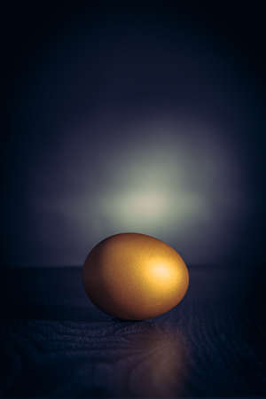 single golden egg against a black dark background