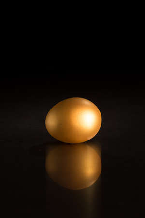 single golden egg against a black dark backgroundの写真素材