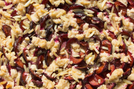 cutout, detail of a plum cake, supervisor of the aboveの写真素材