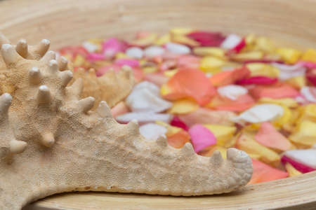 floating colorful rose petals in a patterned deco bowlの写真素材