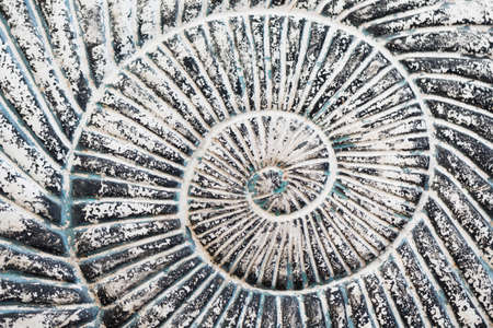 a detail of a grey stone helical spiral