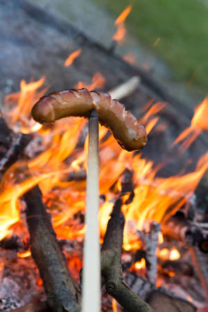 picture of a campfire with flames and branchesの写真素材