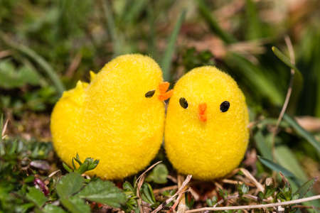 little artificial chick outdoors in various pose