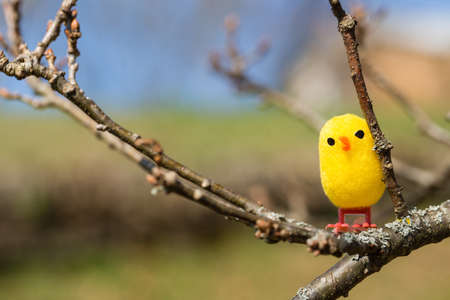 little artificial chick outdoors in various poseの写真素材