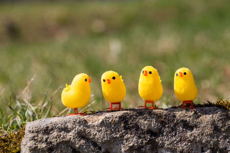 little artificial chick outdoors in various pose