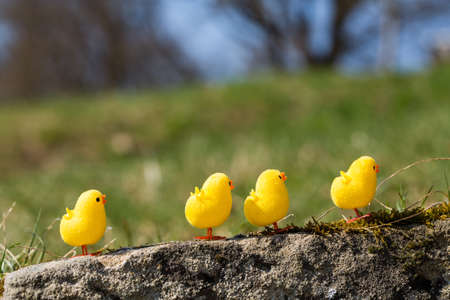 little artificial chick outdoors in various poseの写真素材