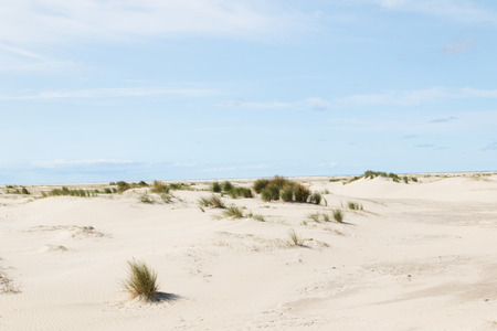view on a sand dune with grass at the northern sea island borkum germany photographed during a sightseeing tour at a sunny day with blue skyの写真素材