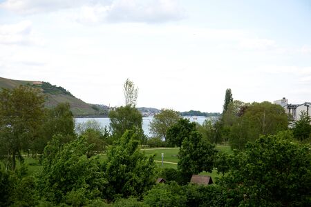 View on the nature and landscape in bingen at the rhine in hesse germany photographed on a cloudy...