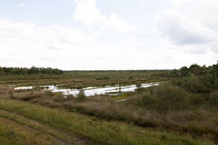 Distant view on a bog grass area with water puddles in germany