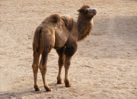 shoppingの写真素材